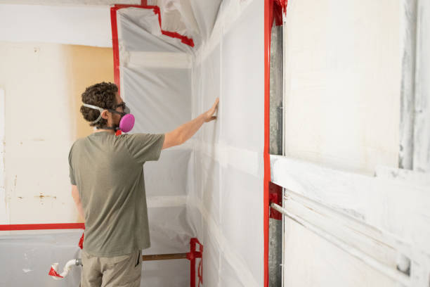 Asbestos and Lead Testing During Mold Inspection in Sterling, AK